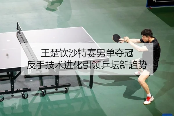 wang-chu-qin-sha-te-sai-nan-dan-duo-guan-fan-shou-ji-shu-jin-hua-yin-ling-ping-tan-xin-qu-shi-2-379.jpg
