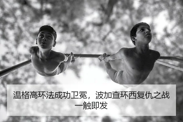 wen-ge-gao-huan-fa-cheng-gong-wei-mian-bo-jia-cha-huan-xi-fu-chou-zhi-zhan-yi-chu-ji-fa-2-960.jpg